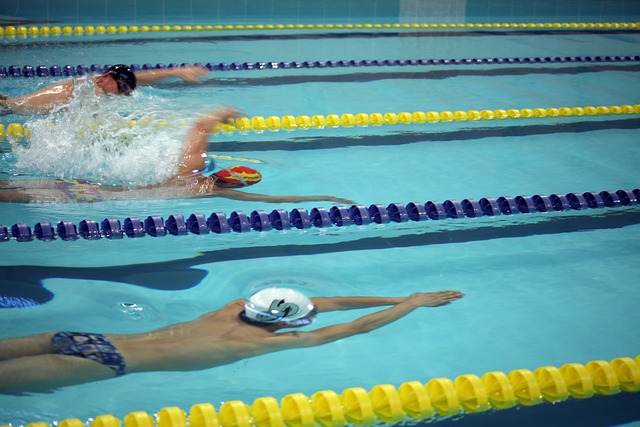 张本天杰可 张本天杰可