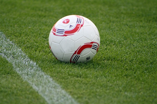 切尔西的比 切尔西的比