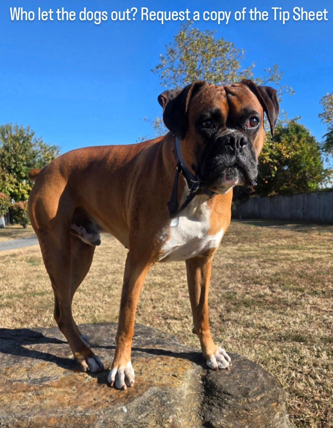 场组织而展 场组织而展