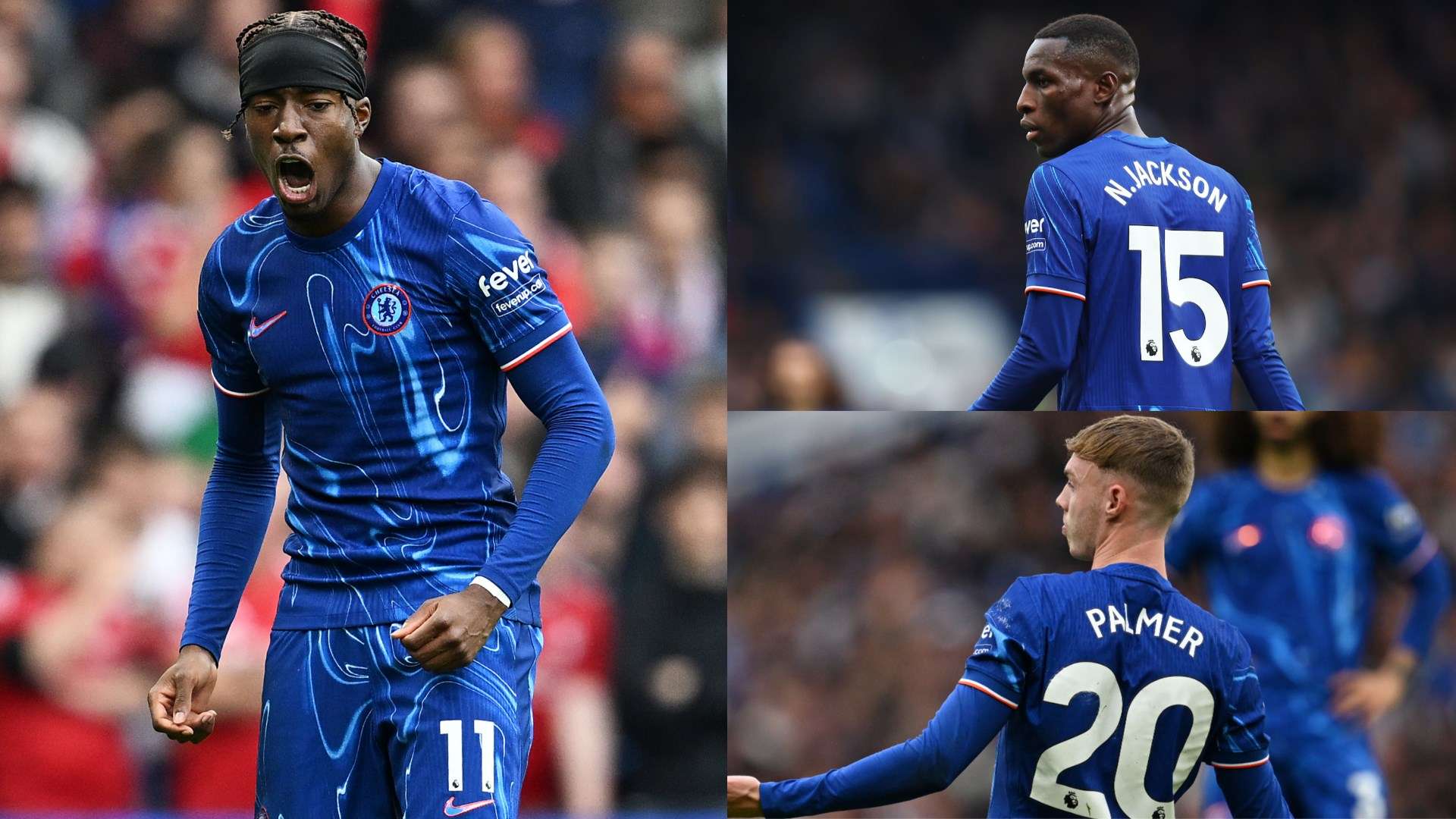 持不懈的 持不懈的